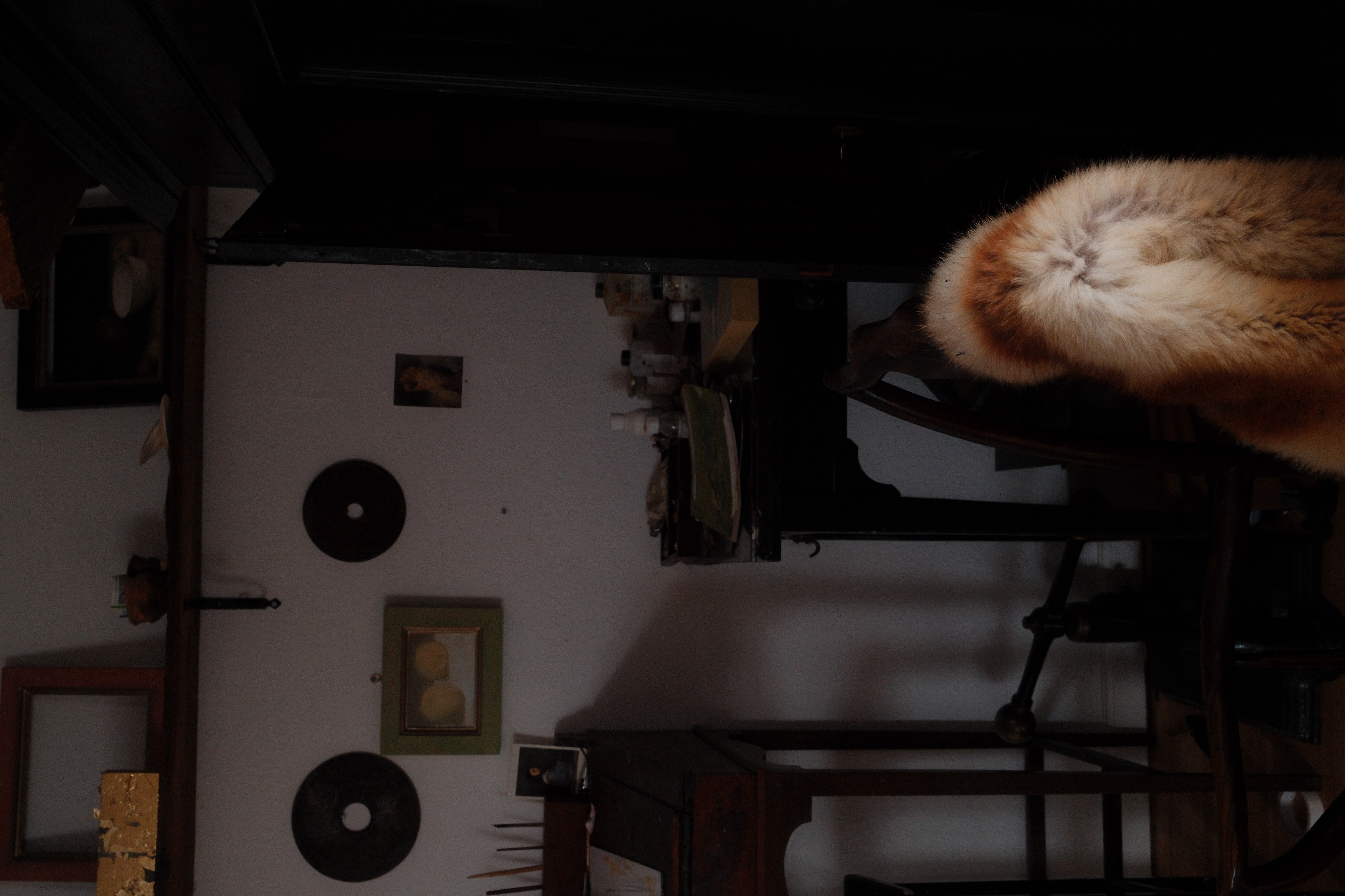 A corner of the atelier, with a wall of paintings, curiosities and a fox pelt draped over a chair back.